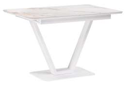Керамический стол Бугун 120х80х77 белый мрамор с прожилками / белый (80x77)